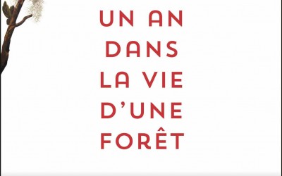 Lectures d&rsquo;été