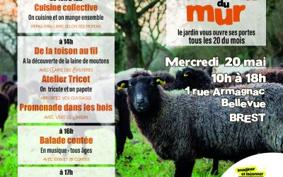 De la toison au fil : animation le 20 mai à Brest